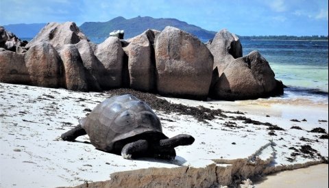 Crucero exclusivo LGTBQ+